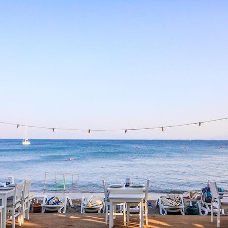 Zest Exclusive Hotel & Spa Ortakent Bagian luar foto